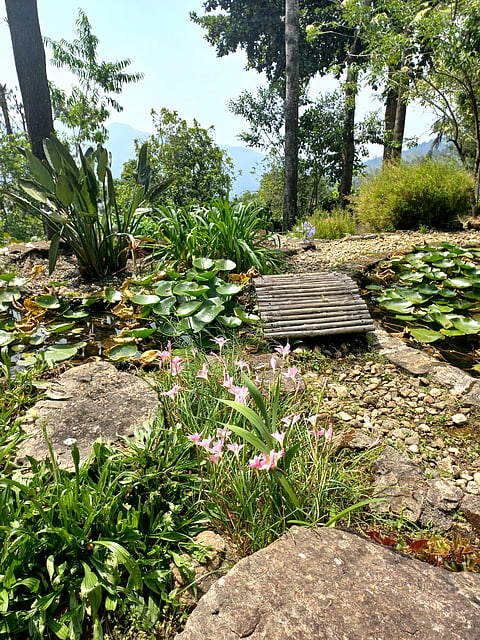 The Zen garden is inspired by Japanese rock gardens